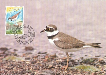 FL 0967 / 0970 MC ● - 1989